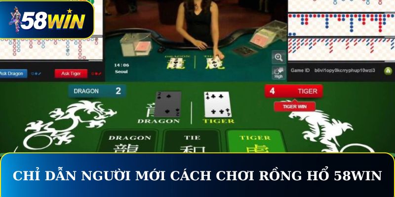 Chỉ dẫn người mới cách chơi Rồng Hổ 58WIN