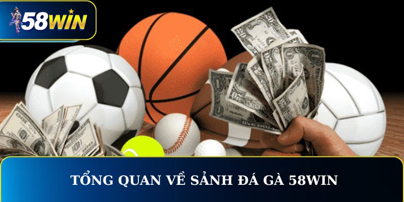 Tổng quan về sảnh game thể thao 58WIN