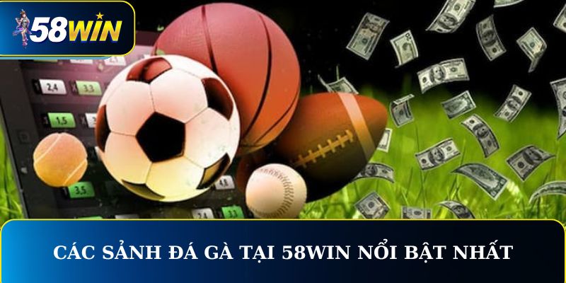 Ưu điểm nổi bật tại sảnh Thể thao 58WIN